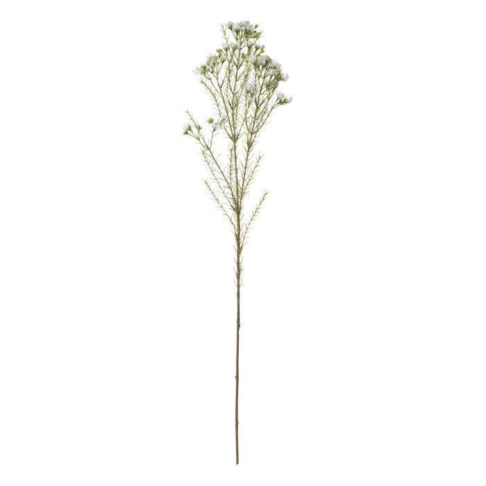 WAX FLOWER SPRAY - RAPT ONLINE