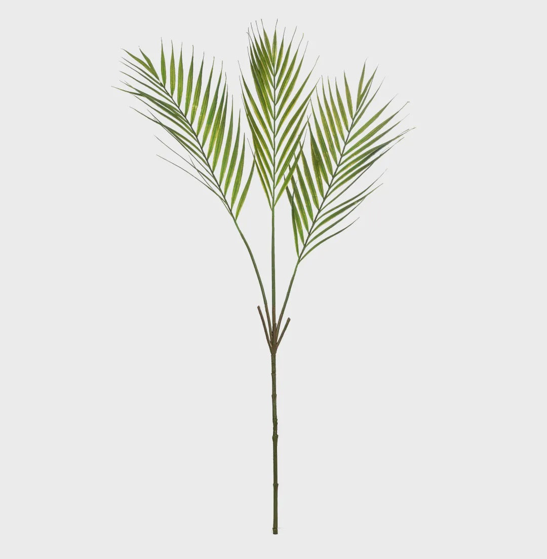 PALM SPRAY - RAPT ONLINE