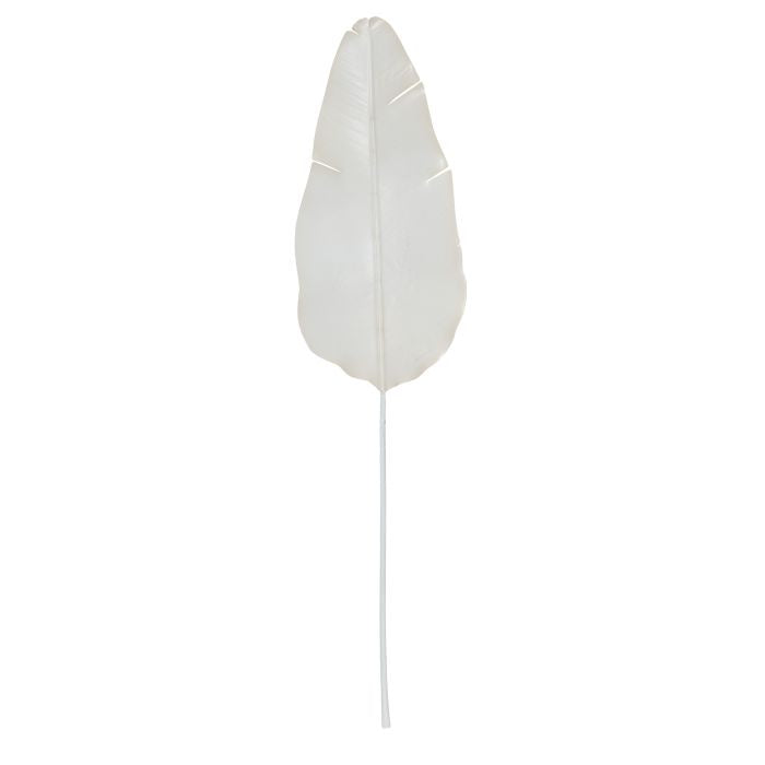 CREAM BANANA LEAF - RAPT ONLINE