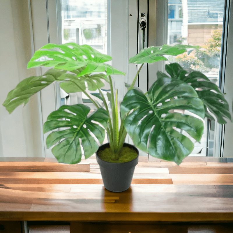 ARTIFICIAL 60CM POTTED MONSTERA - RAPT ONLINE