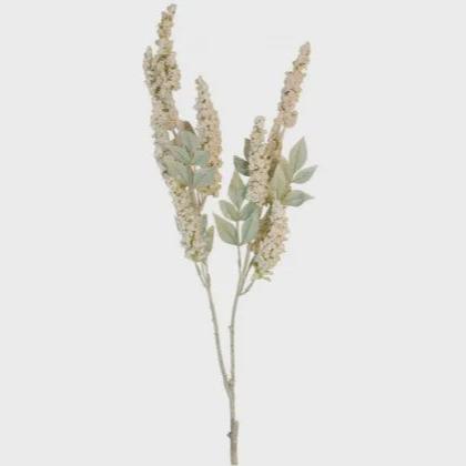 SAGE BEIGE SPRAY