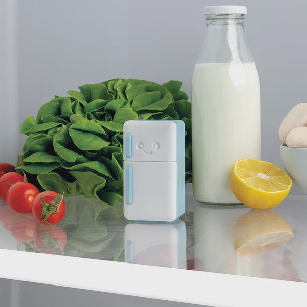 Cool Guy Fridge Deodoriser
