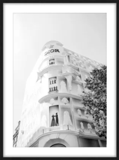 DIOR GLASS FRAMED ART