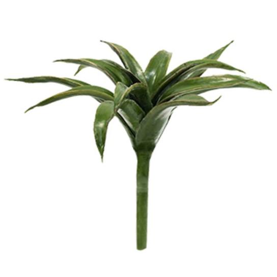 DESERT PLANT