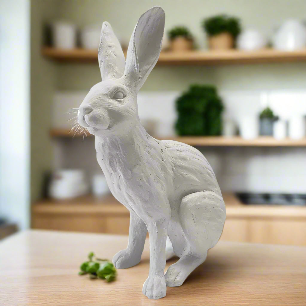 FRENCH WHITE RABBIT