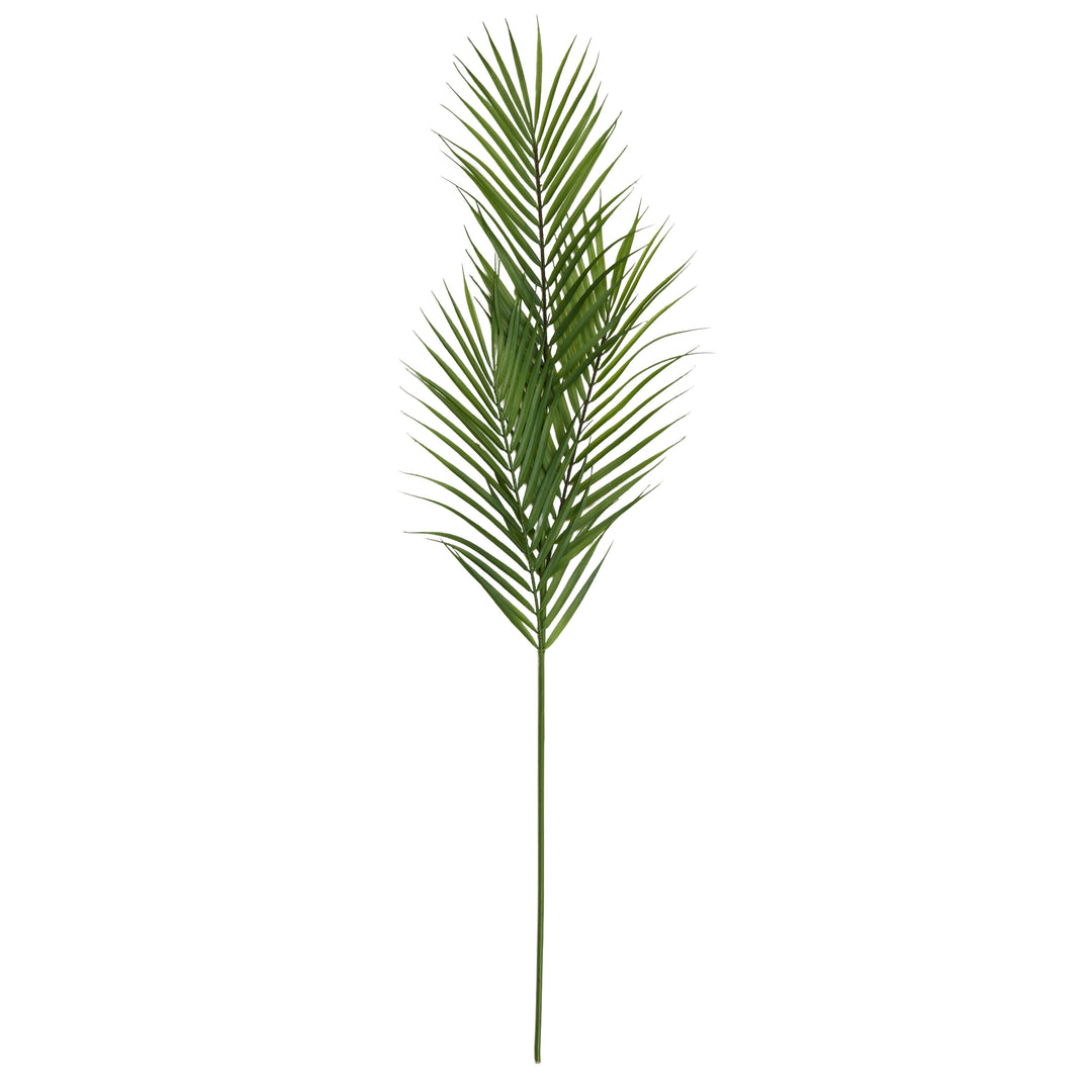 ARECA PALM STEM