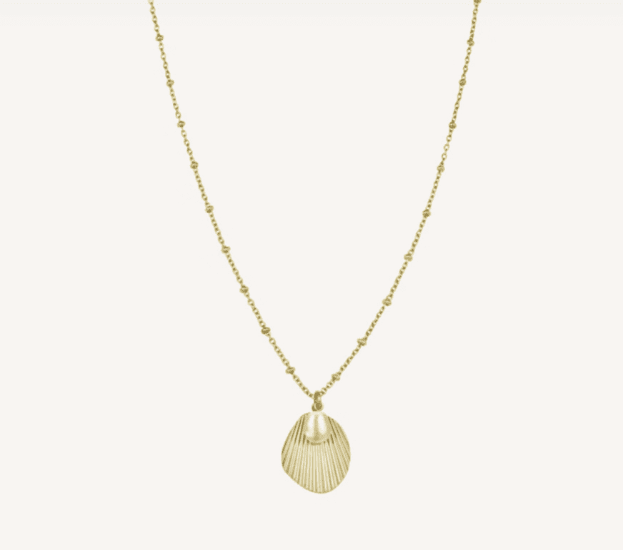 GOLD SHELL & PEARL NECKLACE - RAPT ONLINE