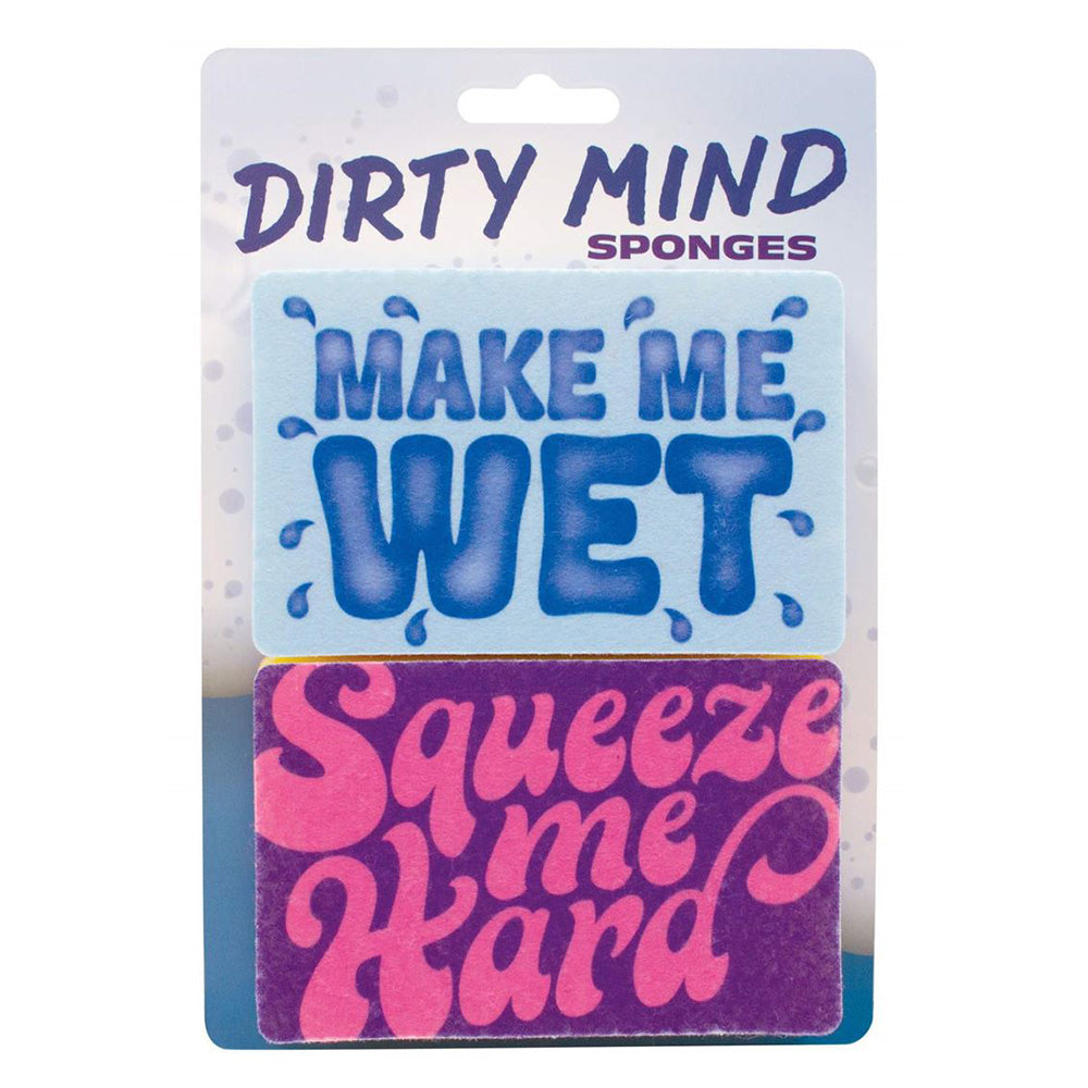 WET SQUEEZE SPONGE