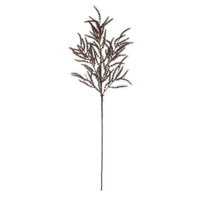 SEEDING CLUSTER - RAPT ONLINE