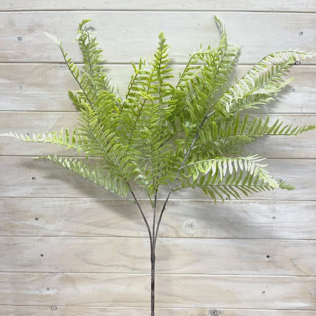 LT GREEN FERN SPRAY - RAPT ONLINE