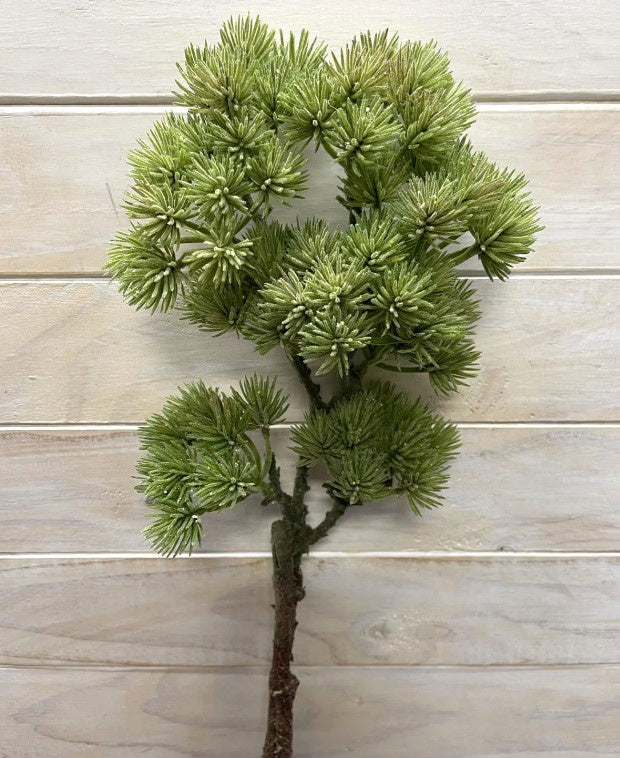 40% OFF | BONSAI SPRAY - RAPT ONLINE
