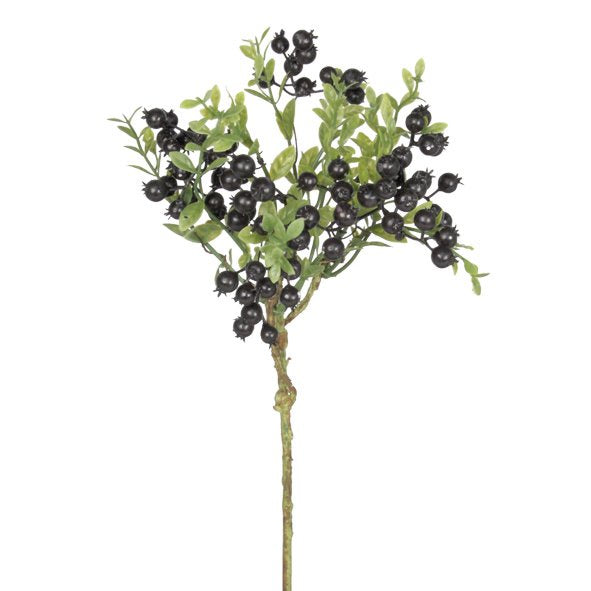 BLACK FORREST RATTAN BERRIES - RAPT ONLINE
