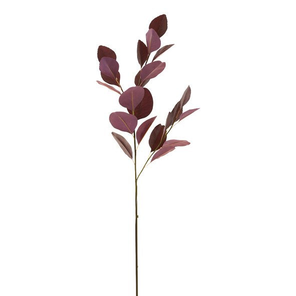 OUTBACK EUCALYPTUS - RAPT ONLINE