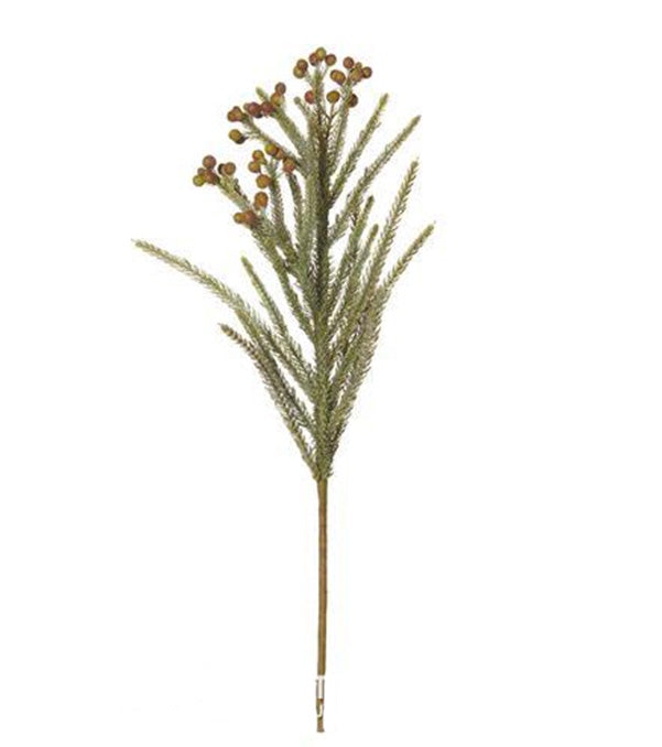 WILD SAFARI PINE - RAPT ONLINE