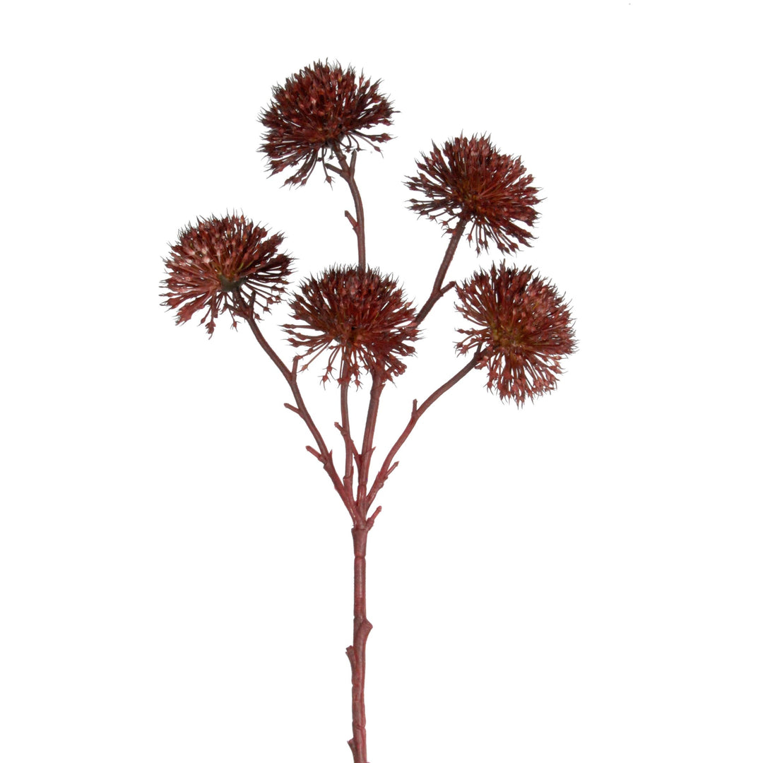 MOUNTAIN ALLIUM STEM - RAPT ONLINE