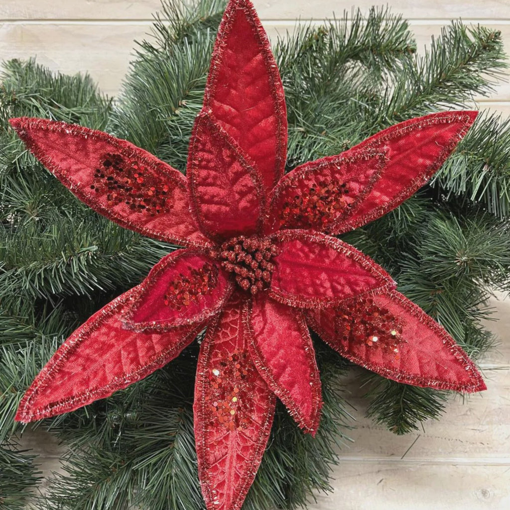 50% OFF | RED POINSETTIA - RAPT ONLINE