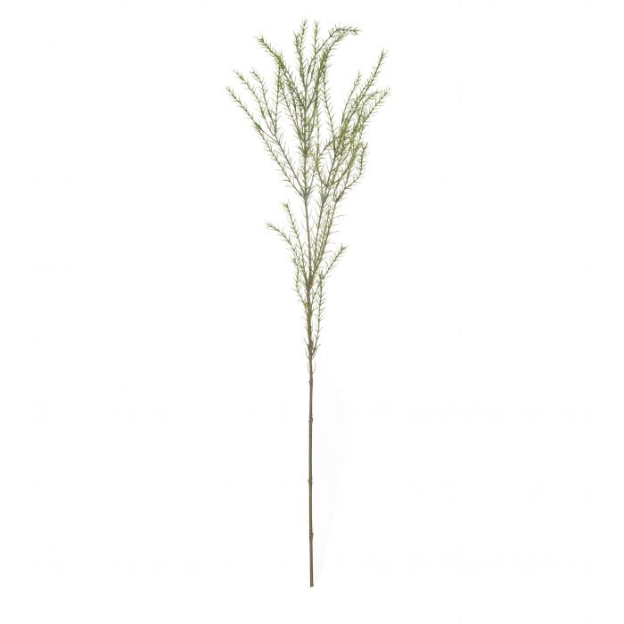 GREVILLA FOLIAGE - RAPT ONLINE