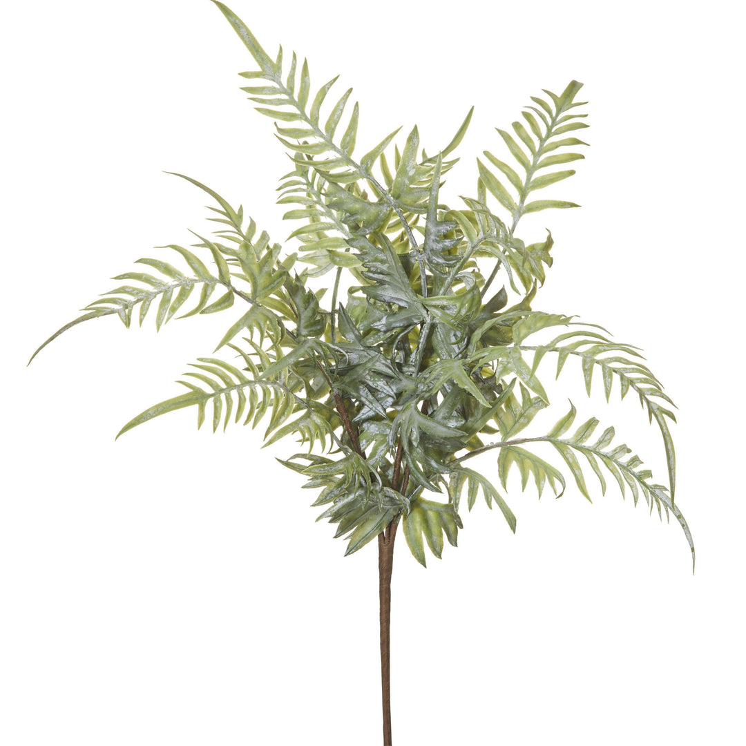DUSTY FERN PICK - RAPT ONLINE