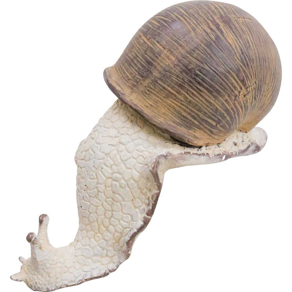 Ledge Snail Large, side view - RAPT ONLINE