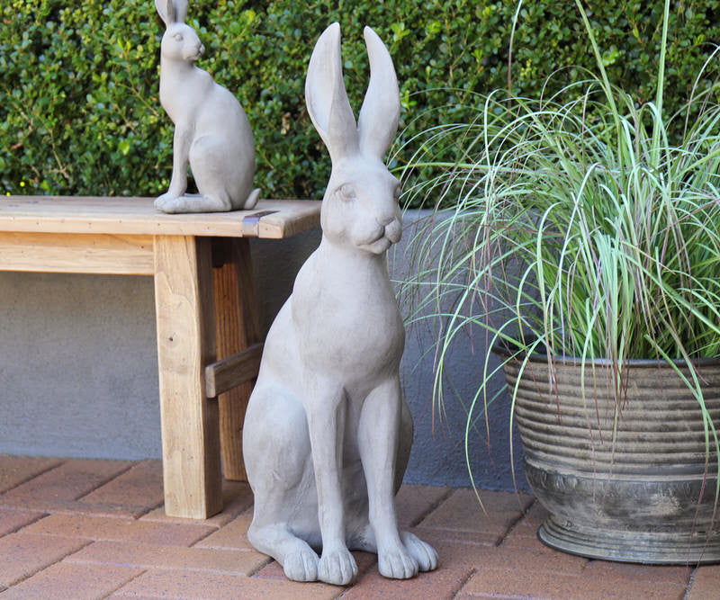 LARGE GREY HAROLD HARE