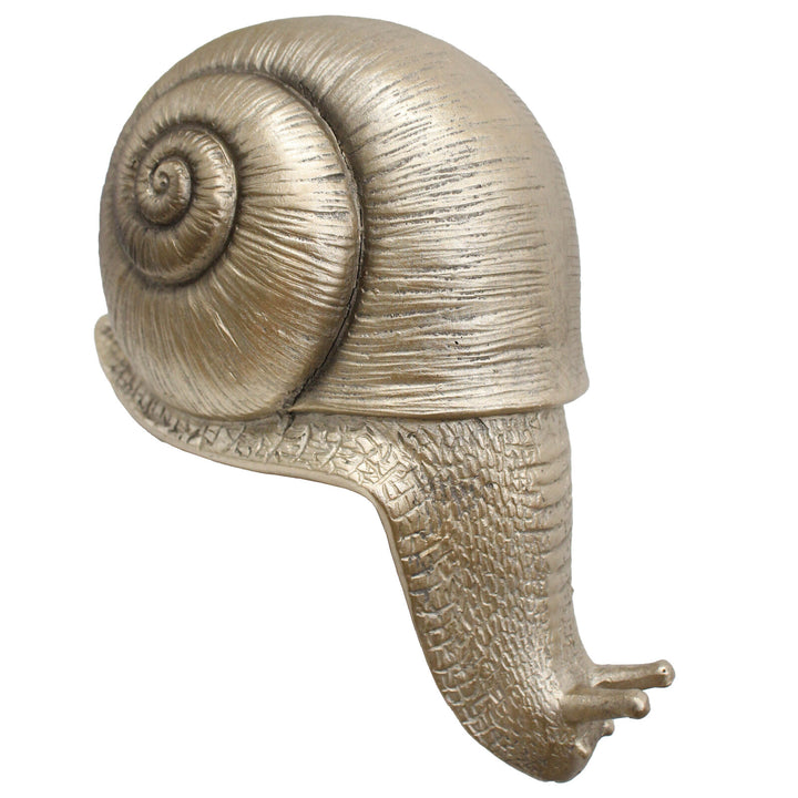 GOLD SNAIL LEDGE