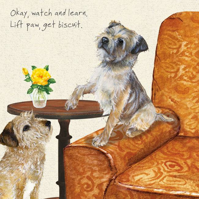 PAWS UP CARD