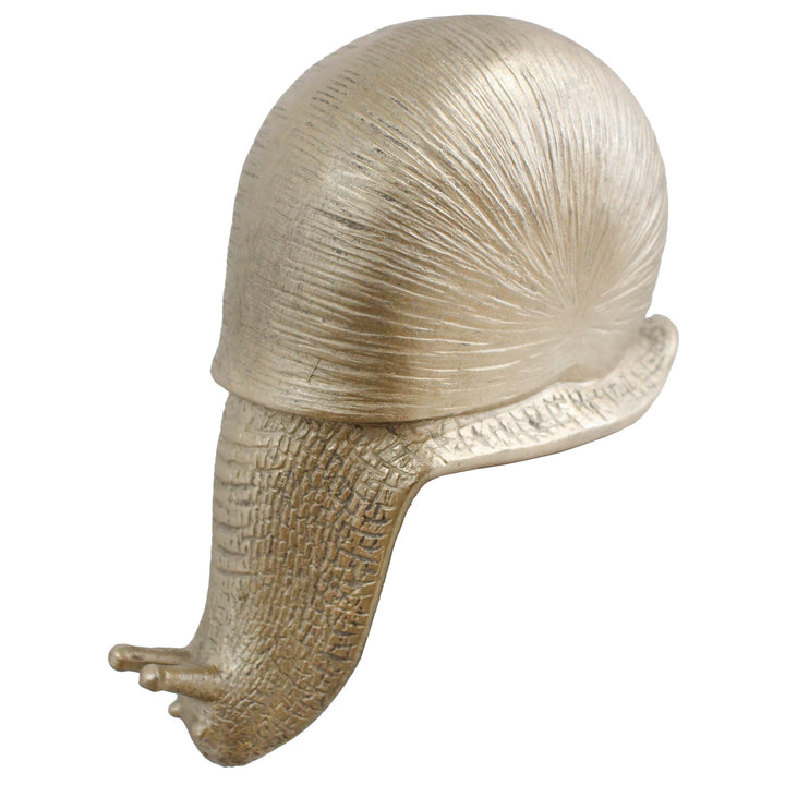 GOLD SNAIL LEDGE