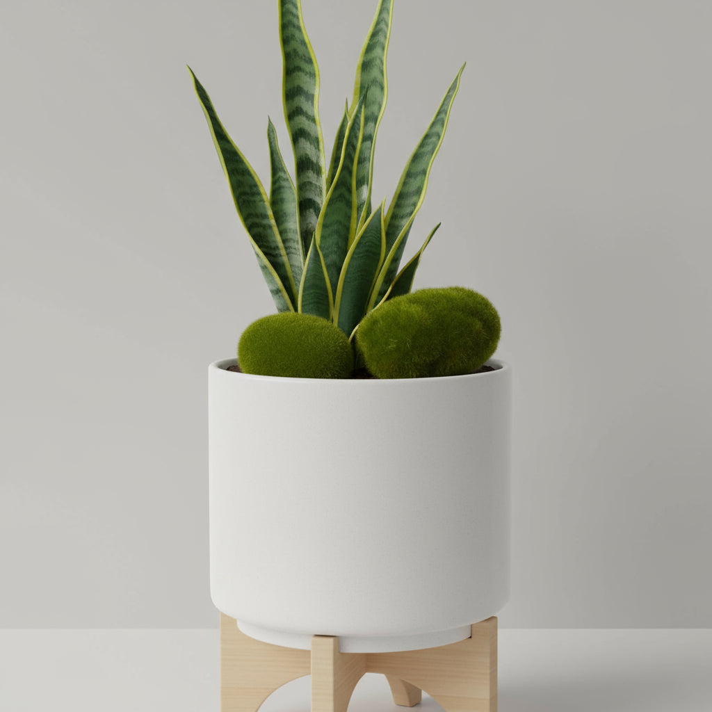 Green moss-like decorative item on a white background