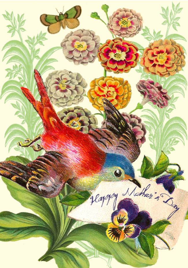 MOTHERS DAY BIRD CARD