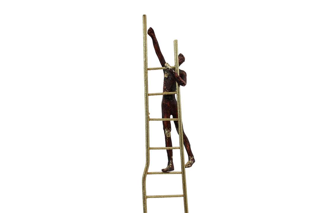 MAN CLIMBING ON LADDER - RAPT ONLINE