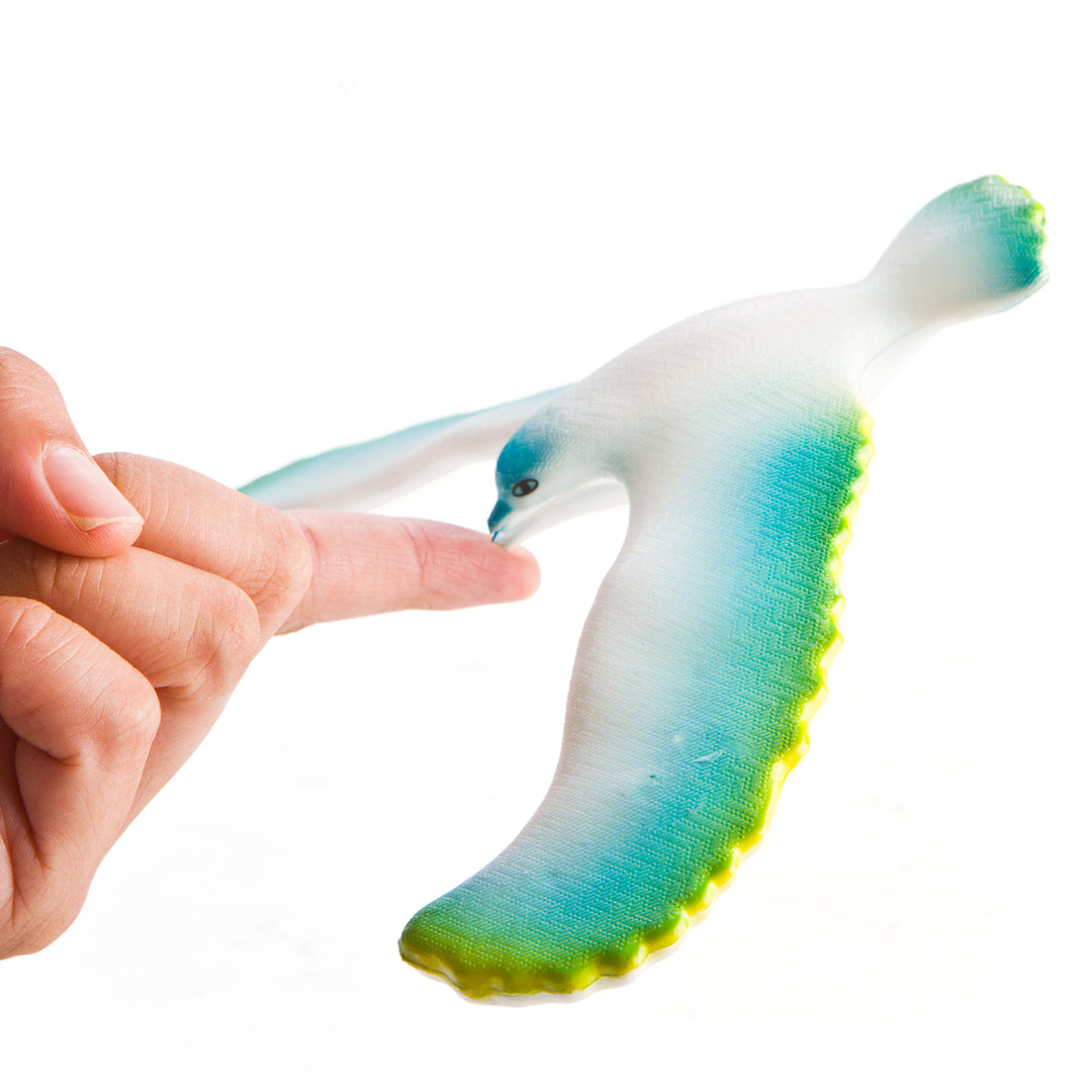 Balance Bird balancing on a fingertip - RAPT ONLINE