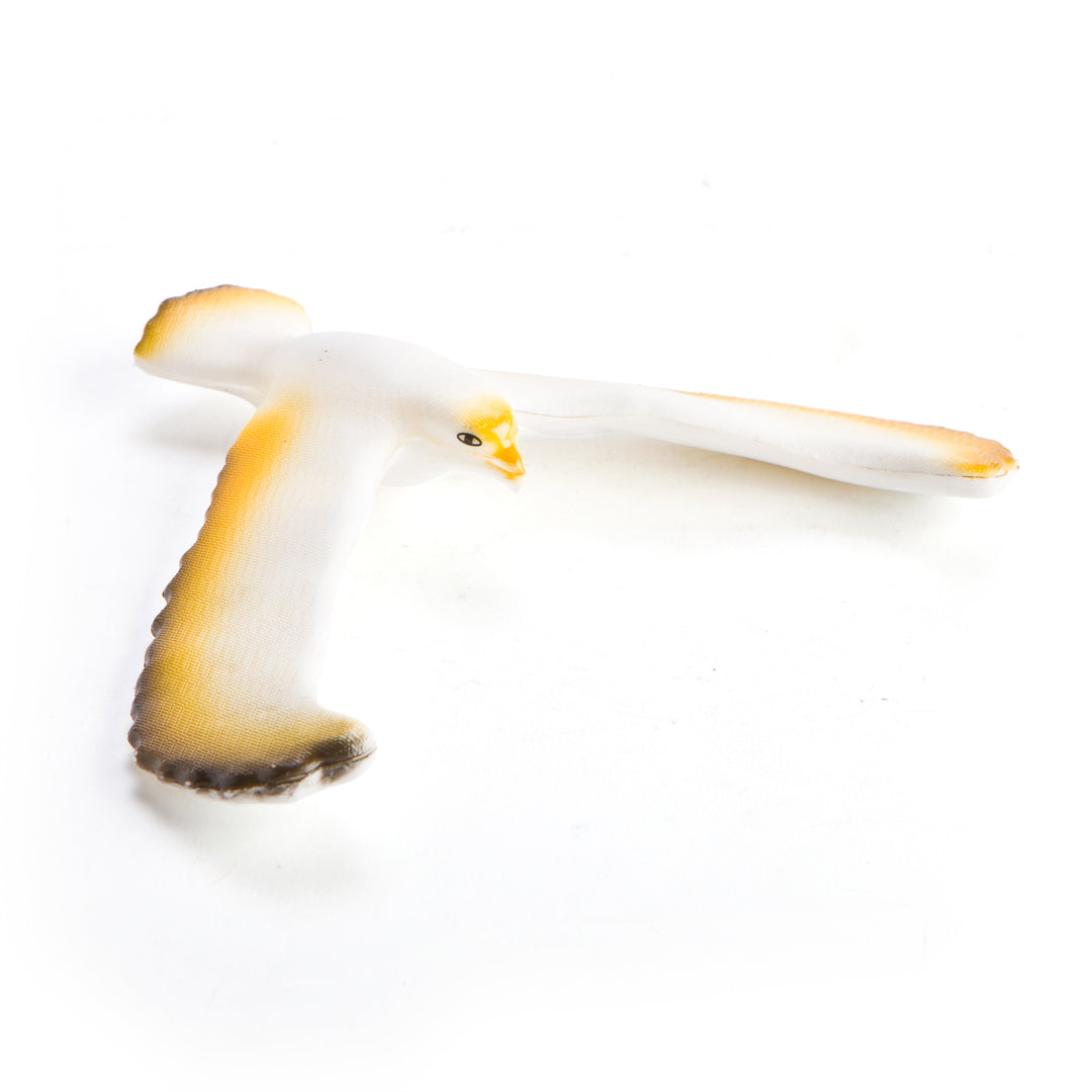 Yellow Balance Bird - RAPT ONLINE