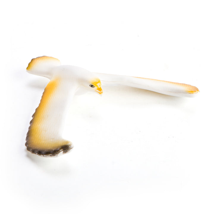Yellow Balance Bird - RAPT ONLINE