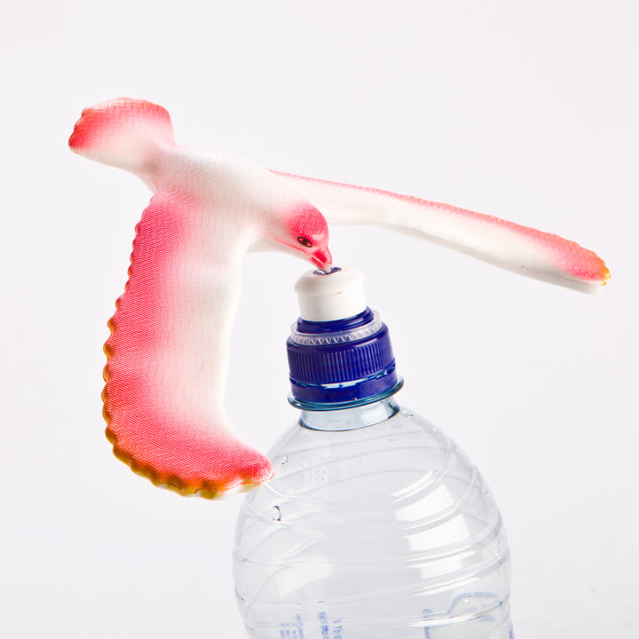 Pink Balance Bird balancing on a bottle cap - RAPT ONLINE