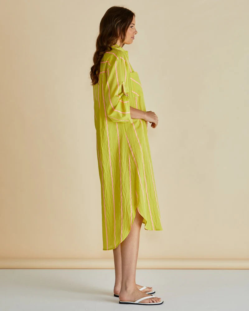 Betty Basics Yellow Hayman Shirt Dress