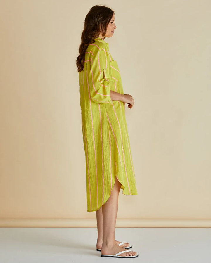 Betty Basics Yellow Hayman Shirt Dress