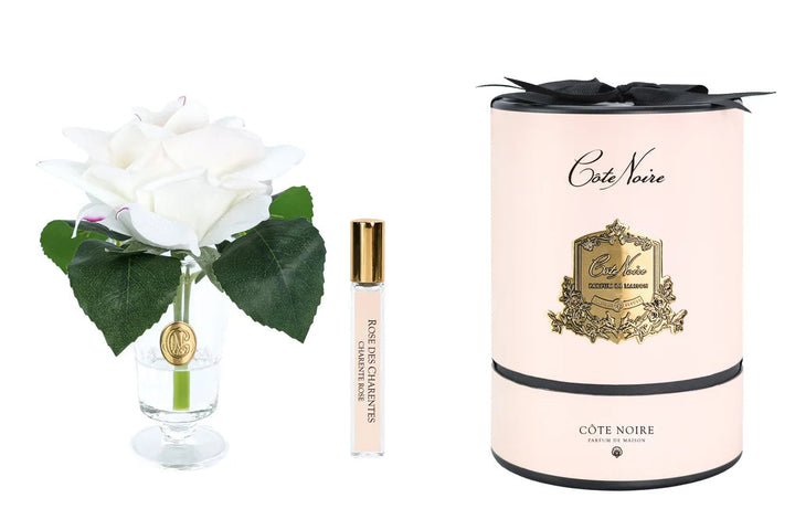A gift set featuring a single white rose in a clear glass vase, a small perfume sample vial with a gold cap, and a tall pale pink cylindrical box with black ribbon and gold branding for Cote Noire.