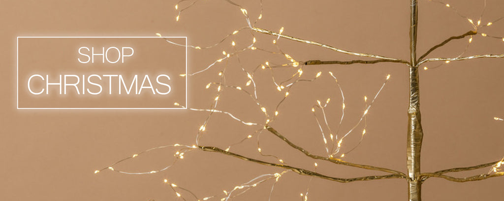 Shop christmas gifts| Rapt online| Auckland