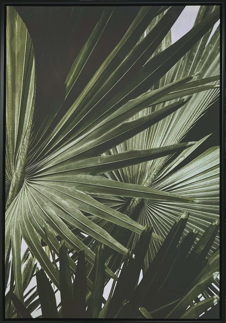 GREEN PALMS CANVAS