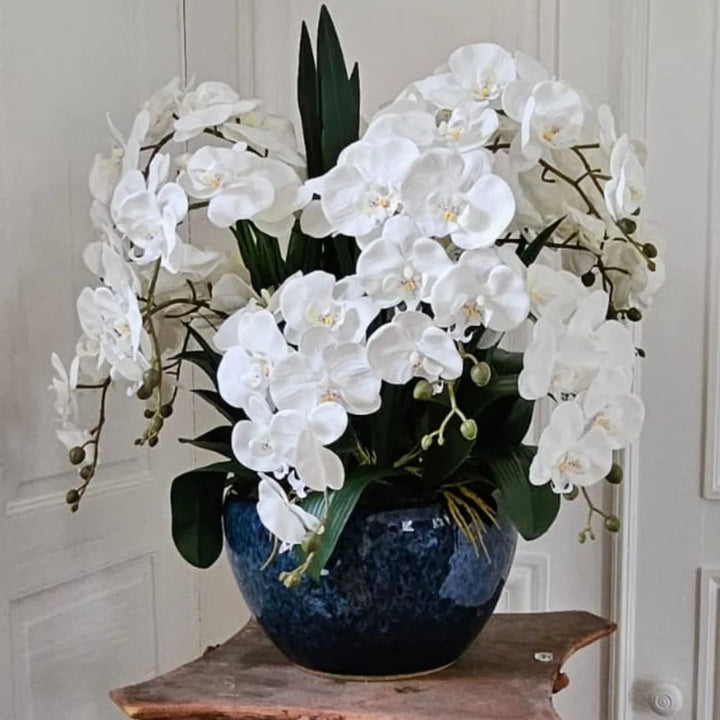 Bouquet of white orchids in a blue vase on a wooden stand against a neutral wall.