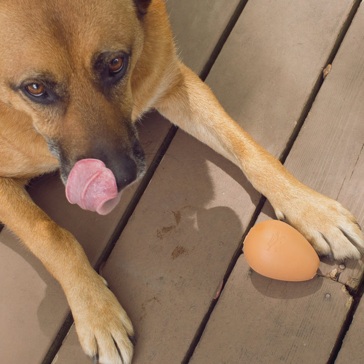 Kobe Bouncy Treat Egg