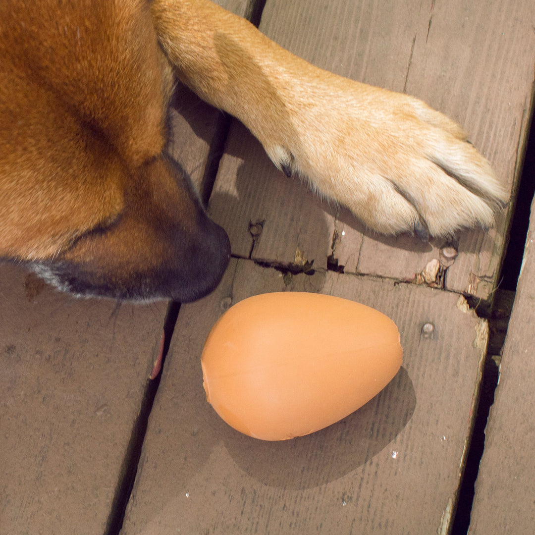 Kobe Bouncy Treat Egg