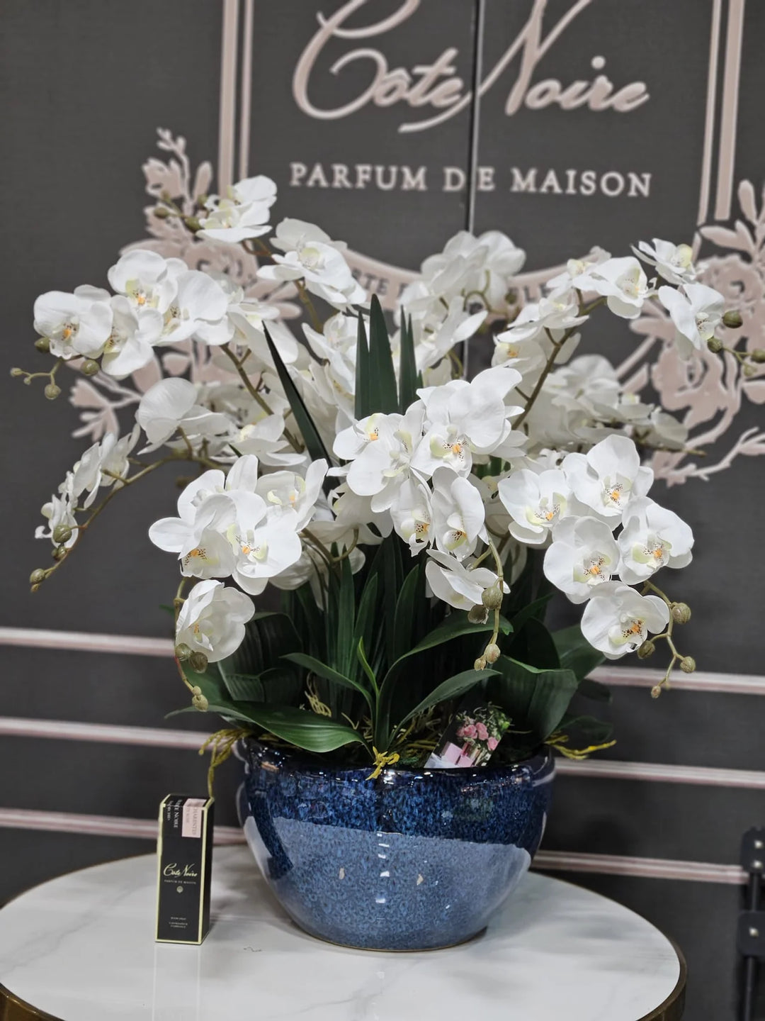 Côte Noire Luxury Giant Orchid