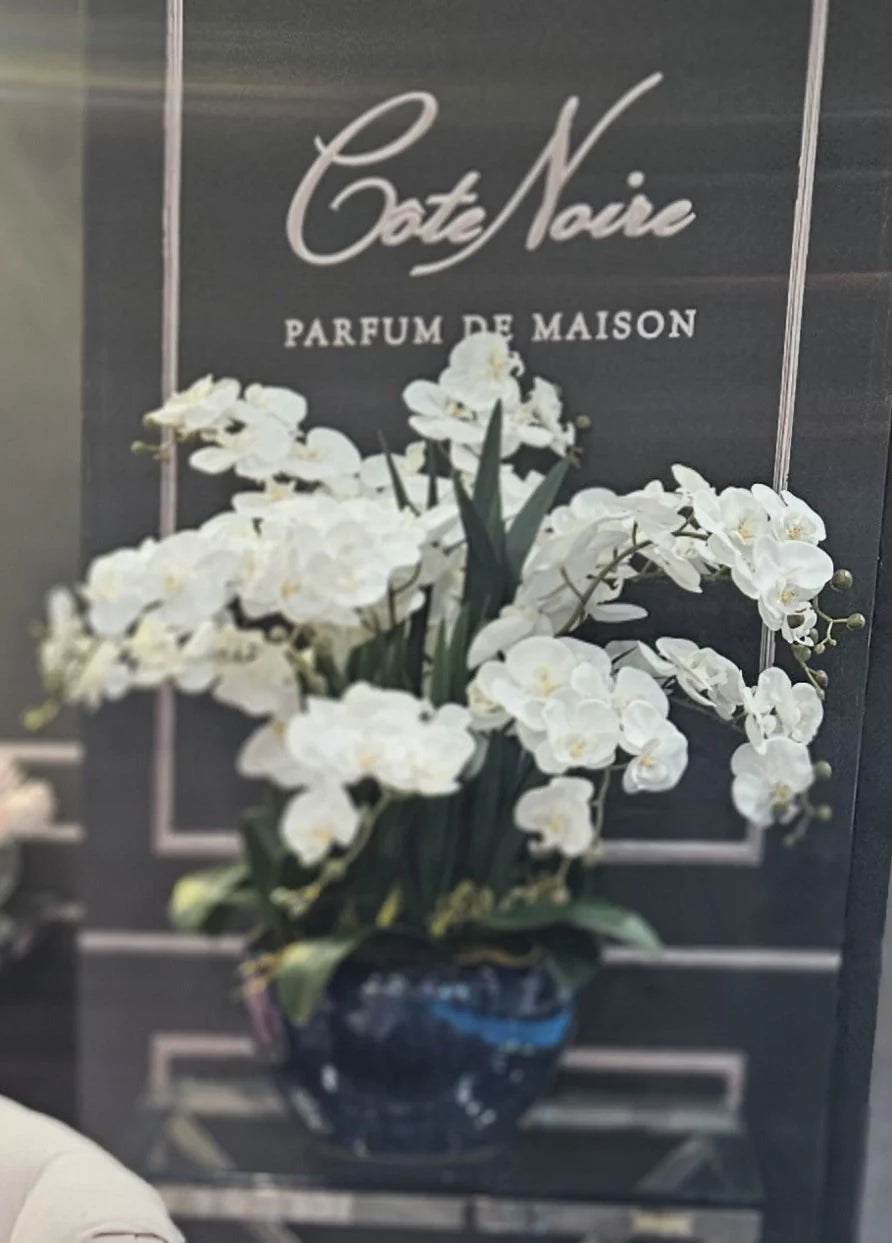 Côte Noire Luxury Giant Orchid