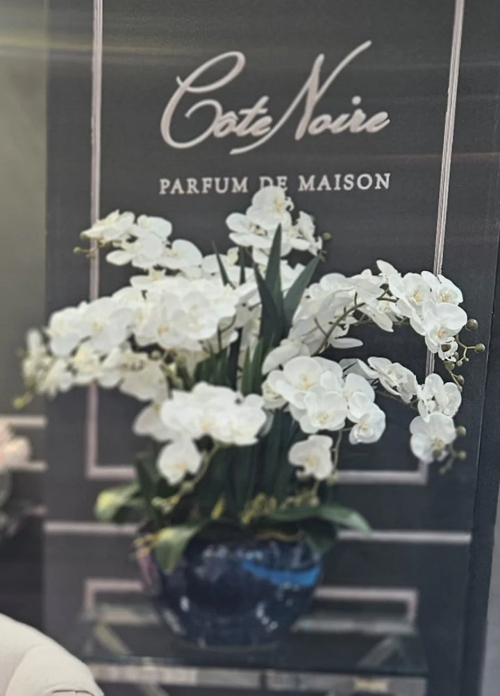 Côte Noire Luxury Giant Orchid