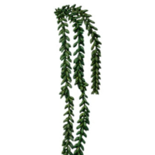 Artificial green vine garland on a white background