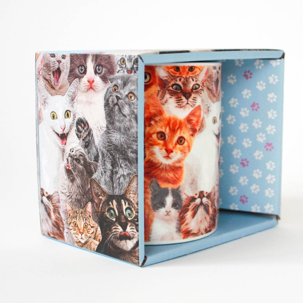 Gift Republic Crazy Cat Lady novelty mug