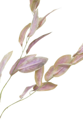 97cm Garden Sage Artificial Stem