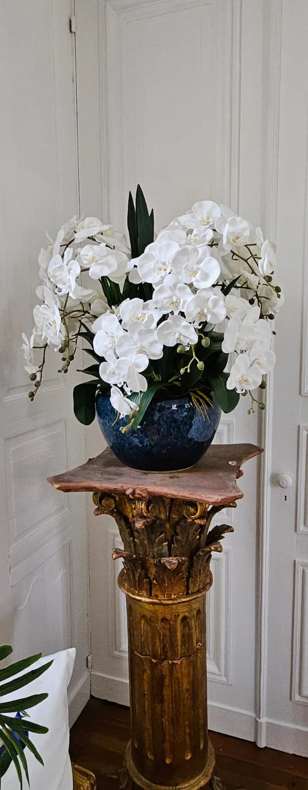 Côte Noire Luxury Giant Orchid