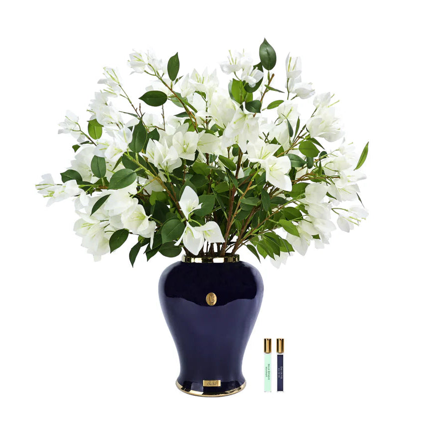 Navy blue vase with white flowers on a white background